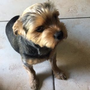 Meet your Posher, Teo